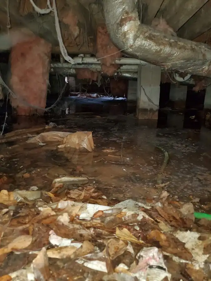 Crawl space flood assessment for Leak Detection & Repair in Wallington