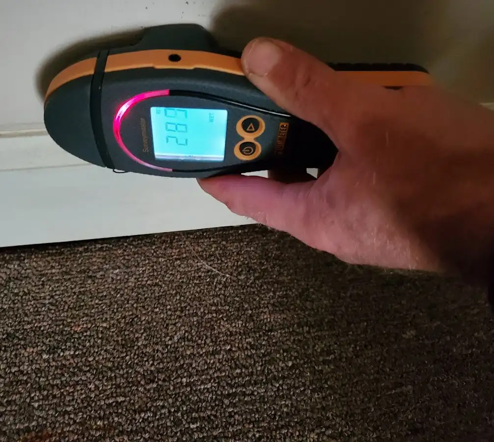 Moisture detection at baseboard during Sewage Cleanup & Sanitation in Wallington